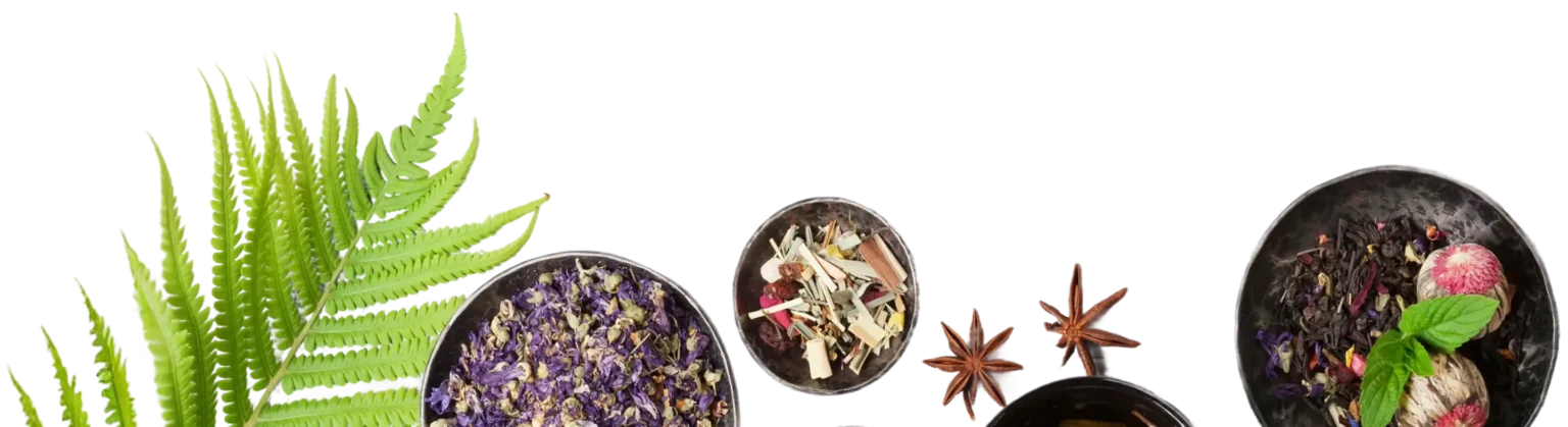 Zelišča in začimbe - izdelki v trgovini Še pa še